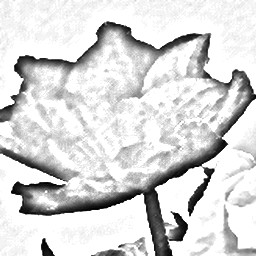 Pencil Sketch 011